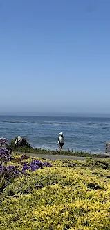 Cambria Landing Inn & Suites