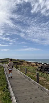 Cambria Landing Inn & Suites