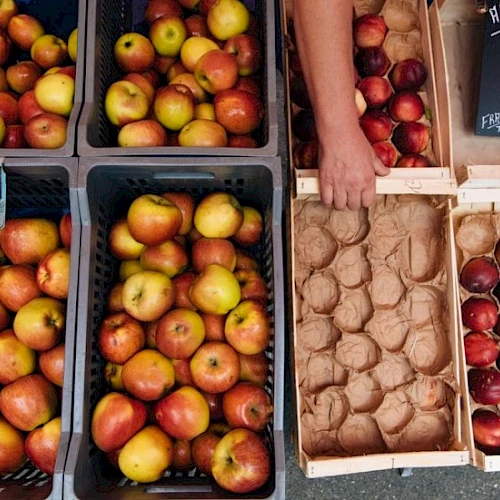 A market display of apples in crates and a rack of eggs and fruit, with a hand reaching for apples, and a chalkboard sign nearby, pretty and colorful.