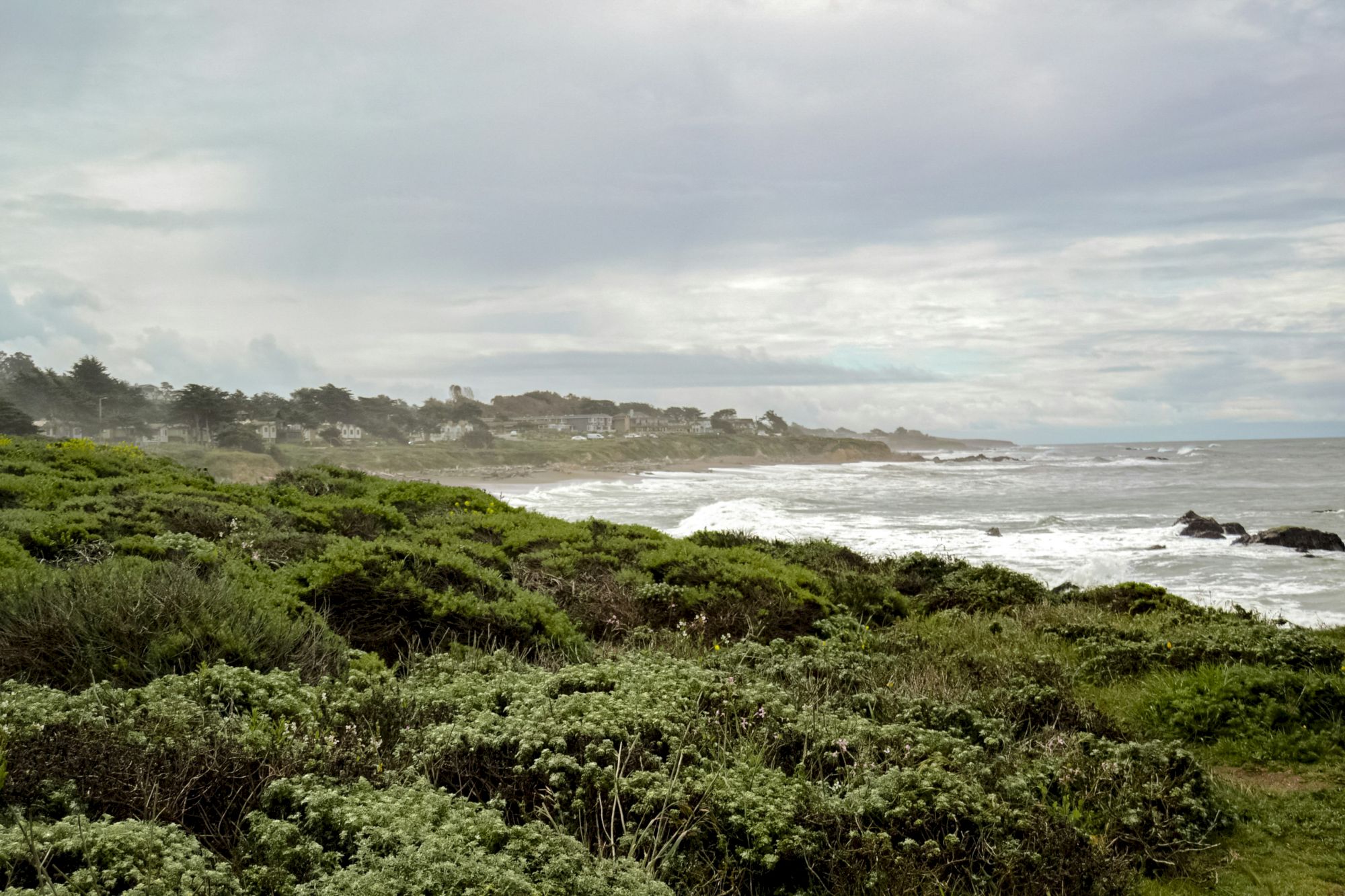 A rocky coastline with dense green shrubs in the foreground, waves crashing on the shore, and a cloudy sky over a distant town by the sea.