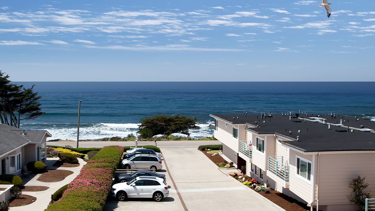 Coastline view with a bright blue ocean, a few white cars parked in a residential lot, low-rise homes, and a lone bird flying above.