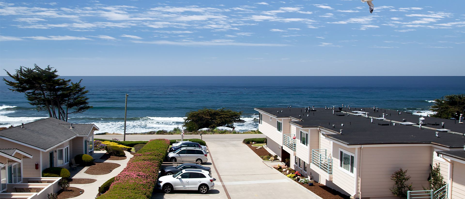 Coastline view with a bright blue ocean, a few white cars parked in a residential lot, low-rise homes, and a lone bird flying above.
