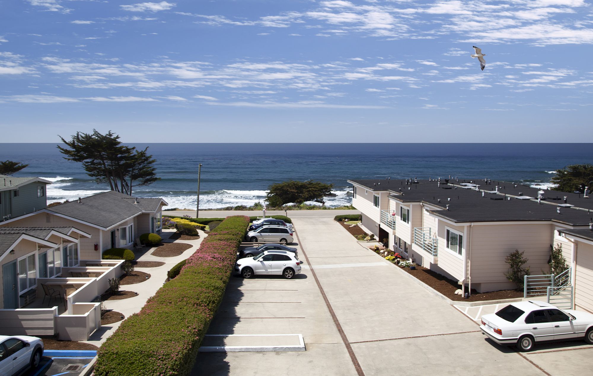 Aerial view of a coastal residential complex with parked cars, neatly lined units, a boardwalk to the beach, and a seagull flying over the ocean.