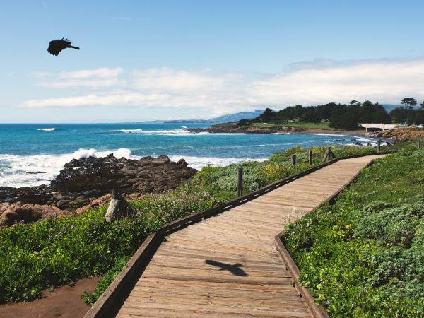 Cambria Landing Inn & Suites