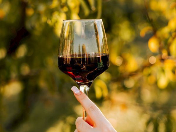 A hand holds up a glass of red wine in focus, outdoor blurred greenery in warm sunlight.