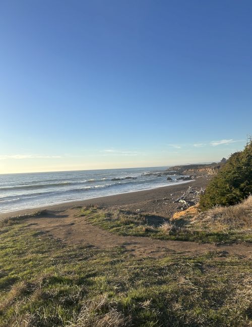 A peaceful beach scene with a calm sea, gentle waves, and a clear blue sky; grassy foreground and a few shrubs along the shore.