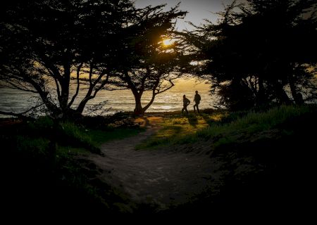 Cambria Landing Inn & Suites