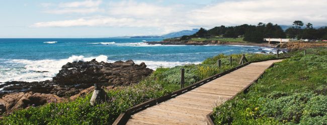 A coastal boardwalk along rocky shore with green shrubbery, ocean waves, a bird in flight, and a distant coastline.