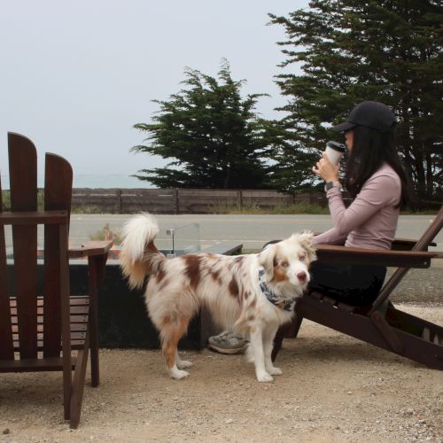 Cambria Landing Inn & Suites