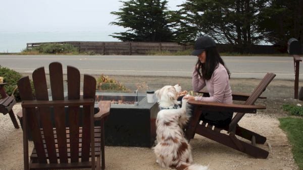 A woman in a pink jacket sits at a picnic table by the shore, while a fluffy dog sits upright, seemingly waiting for a treat, near two wooden chairs.